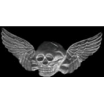 SKULL WINGS SILVER LARGE PIN